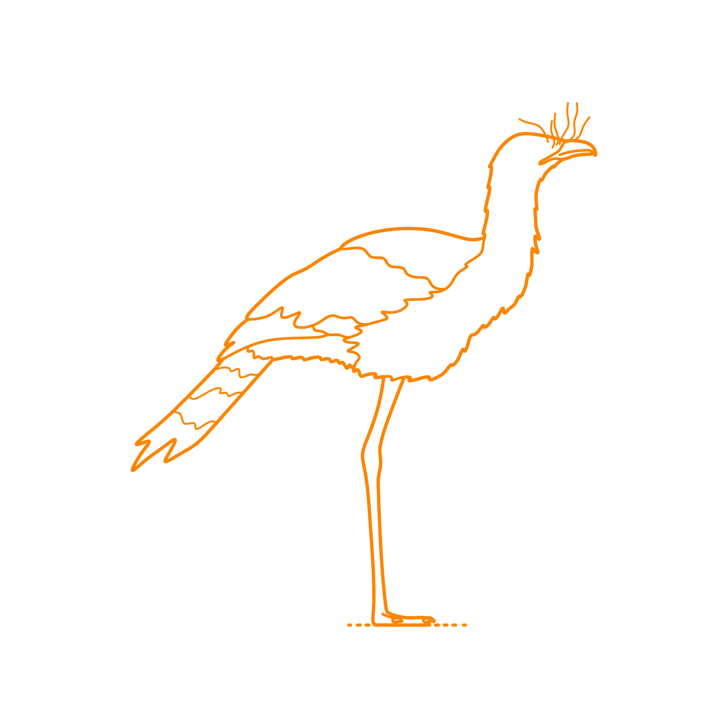 Animals Birds Of Prey Red Legged Seriema Outline Svg Vector Free Vectors